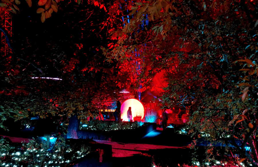 El Huerto de las luces: Acciona reinventa un lugar emblemático de Salamanca